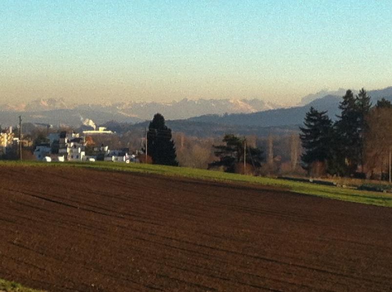 Blick auf Zürich und die Alpen