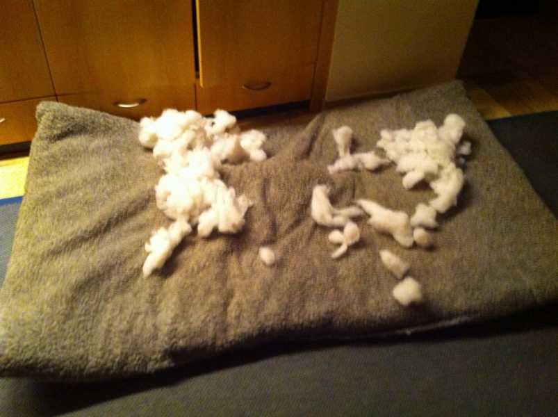 Es schneit!